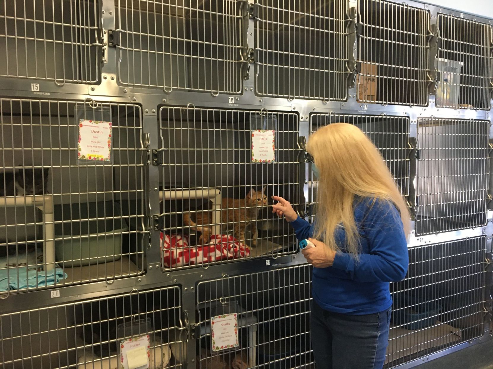 shelter dogs (9).jpeg